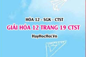 Giải Hóa 12 trang 19 Chân trời sáng tạo SGK